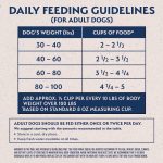 What Age to Give Adult Dog Food
