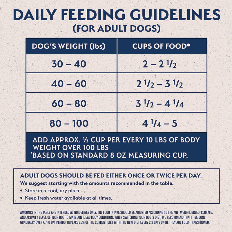 What Age to Give Adult Dog Food
