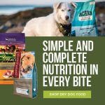 What are the Best Adult Dog Food