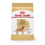 What are the Best Dog Foods for Adult Golden Rtrievers