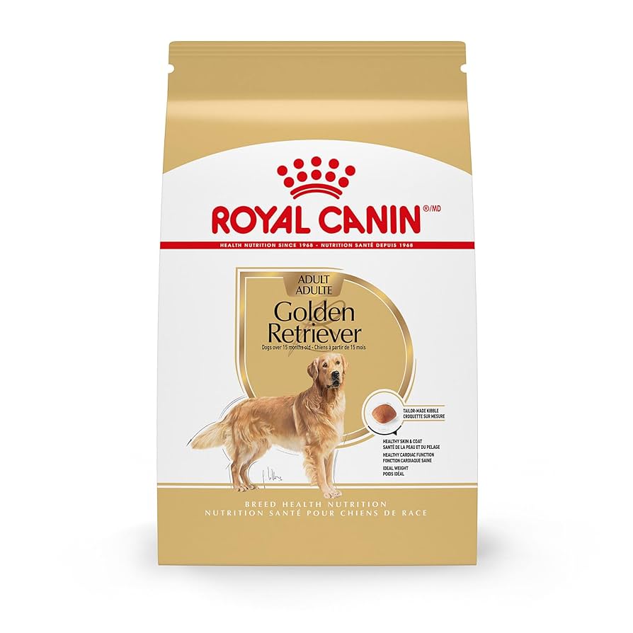 What are the Best Dog Foods for Adult Golden Rtrievers