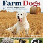 What are the Best Farm Dogs