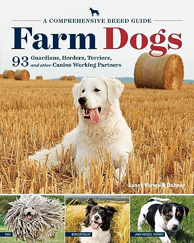 What are the Best Farm Dogs