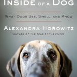 What Breed of Dog Has the Best Sense of Smell