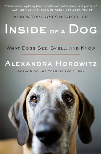 What Breed of Dog Has the Best Sense of Smell