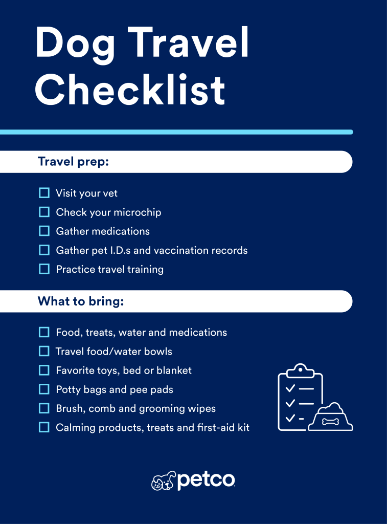 What Do You Need to Travel With a Dog