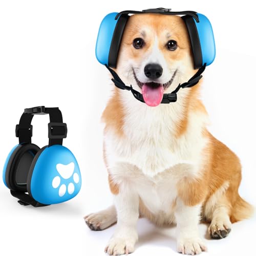 What Dog Has the Best Hearing