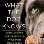 What Dog is Best With Cats