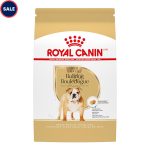 What Dry Dog Food for Adult English Bulldog