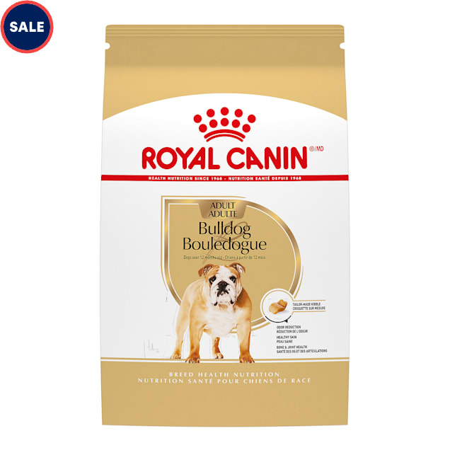 What Dry Dog Food for Adult English Bulldog