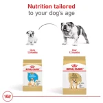 What Flavor of Dry Dog Food for Adult English Bulldog