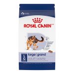 What is a Good Adult Dog Food Brand
