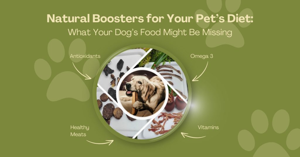 What is a Grain Free Diet for Dogs Missing