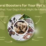 What is a Grain Free Diet for Dogs Missing