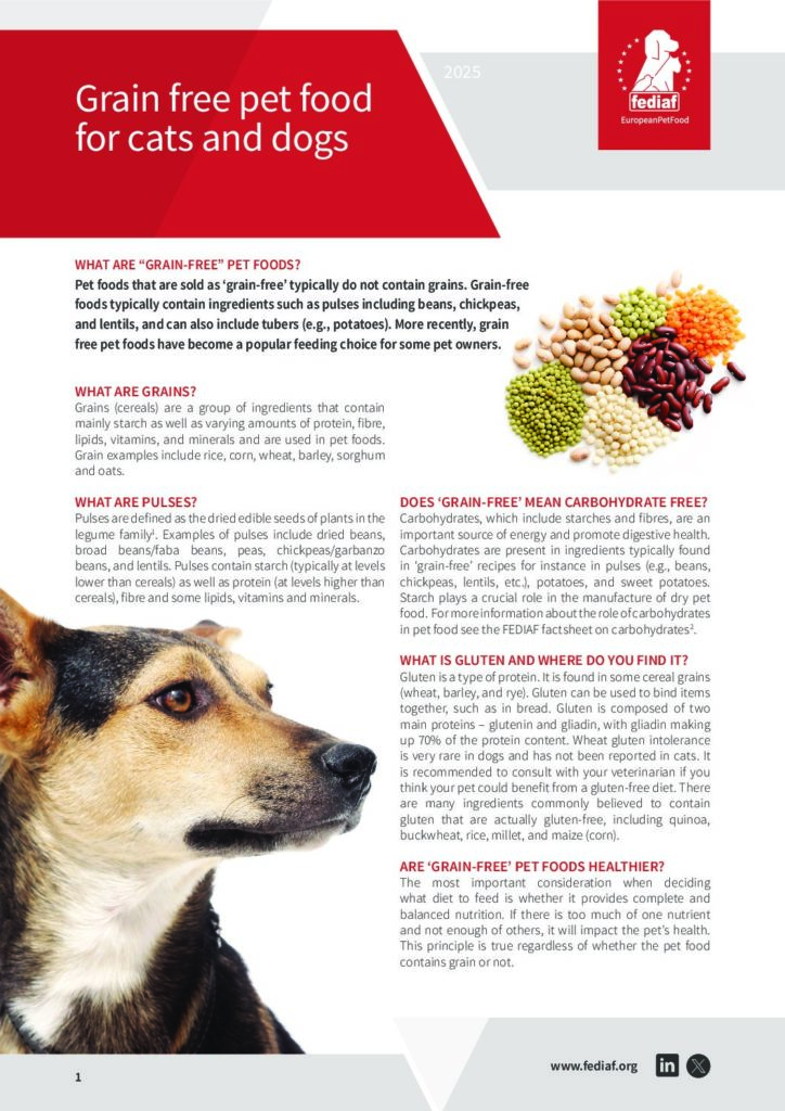 What is a Grain-Free Diet for Dogs