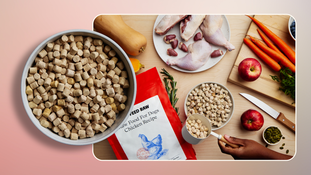 What is a Raw Food Diet for a Dog