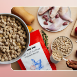 What is a Raw Food Diet for a Dog