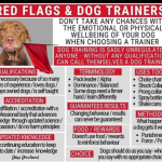 What is Balanced Dog Training