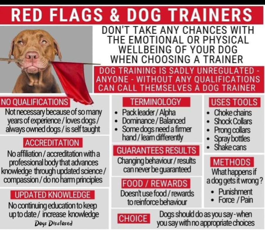 What is Balanced Dog Training