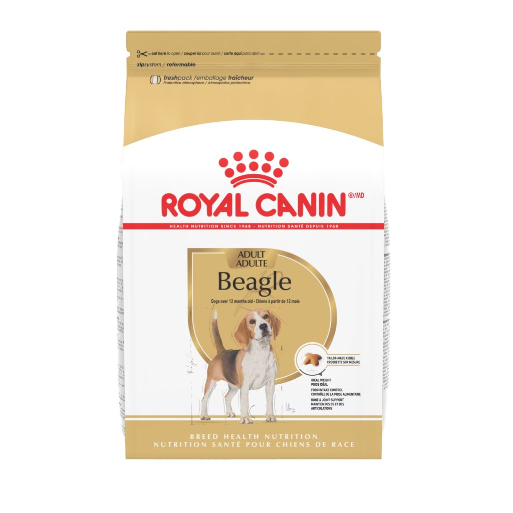 What is Best Dog Food for an Adult Beagle
