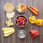 What is Bland Food for Raw Diet Dog