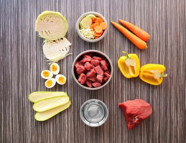 What is Bland Food for Raw Diet Dog
