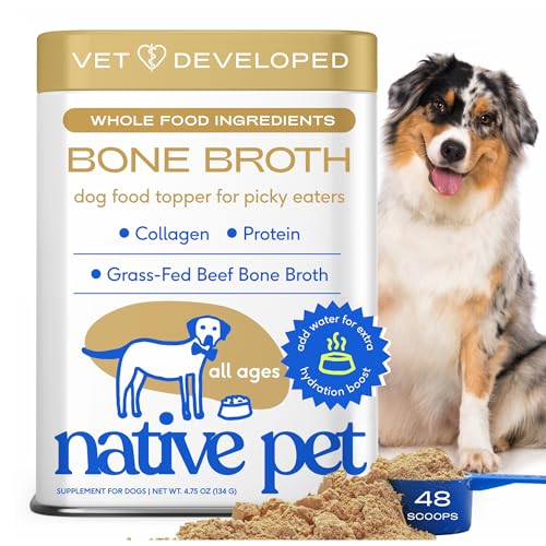 What is the Best Bone Broth for Dogs