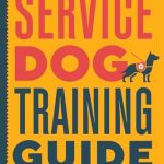 What is the Best Breed for a Service Dog