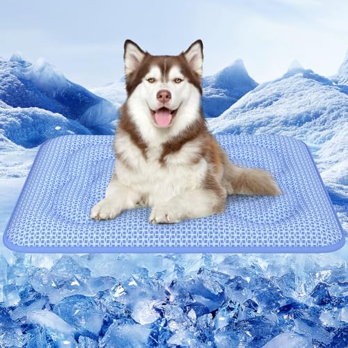 What is the Best Cooling Mat for Dogs