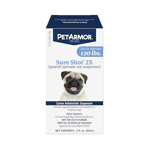 What is the Best Dewormer for Dogs