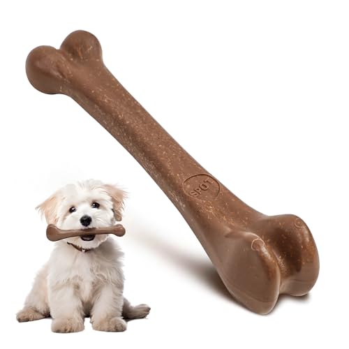 What is the Best Dog Bones for Dogs to Chew