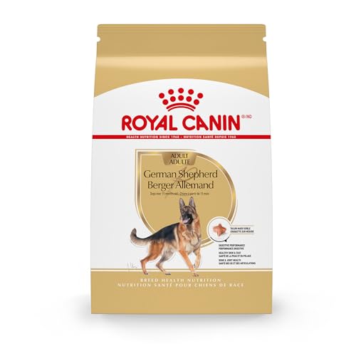 What is the Best Dog Food for a German Shepherd
