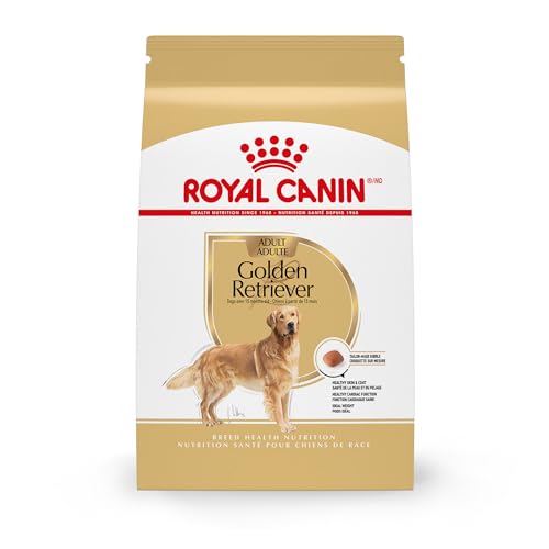What is the Best Dog Food for a Golden Retriever