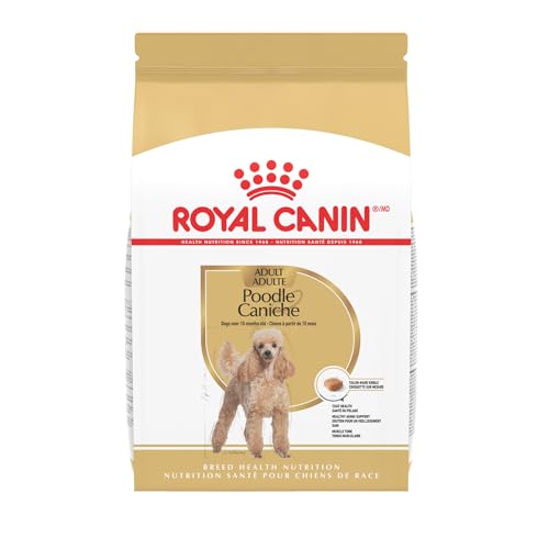 What is the Best Dog Food for a Goldendoodle