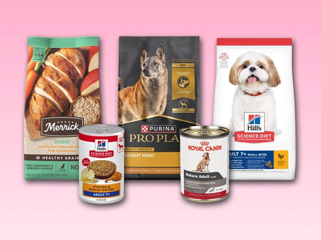 What is the Best Dog Food for Adult Dogs 6+