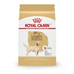 What is the Best Dog Food for Labradors