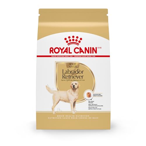 What is the Best Dog Food for Labradors