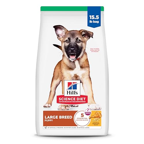 What is the Best Dog Food for Large Breed Puppies