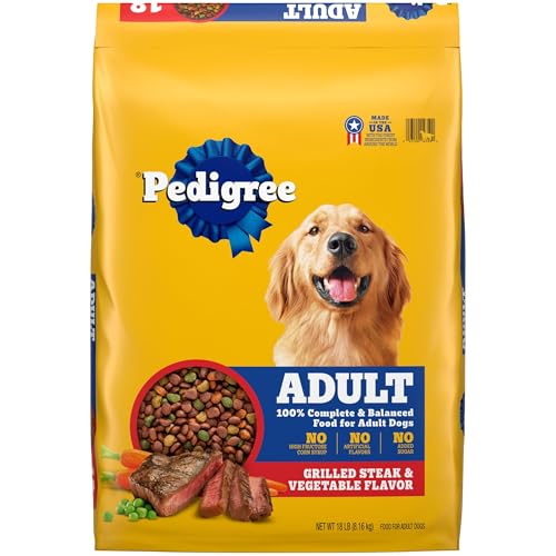 What is the Best Dog Food for Pitbulls