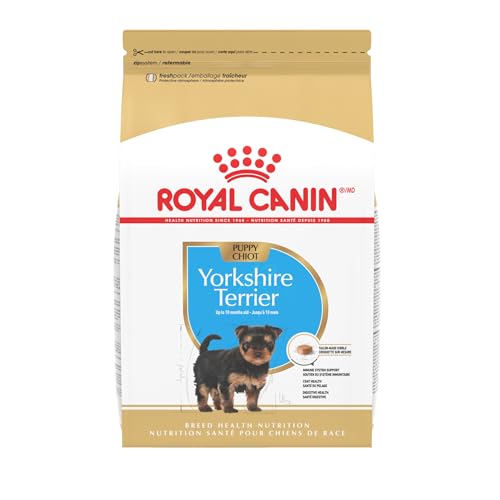 What is the Best Dog Food for Yorkies