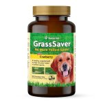 What is the Best Dog for Protection And Family