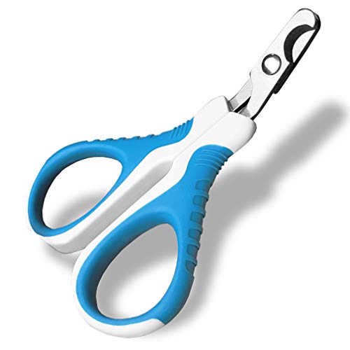 What is the Best Dog Nail Clippers
