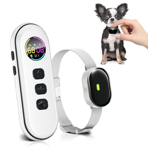 What is the Best Dog Shock Collar