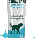 What is the Best Dog Toothpaste