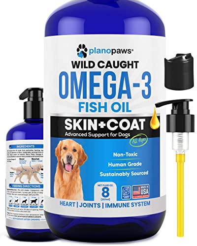 What is the Best Fish for Dogs