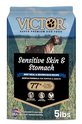 What is the Best Gluten Free Dog Food