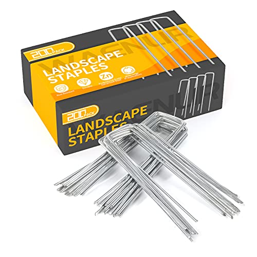 What is the Best Ground Cover for Dogs