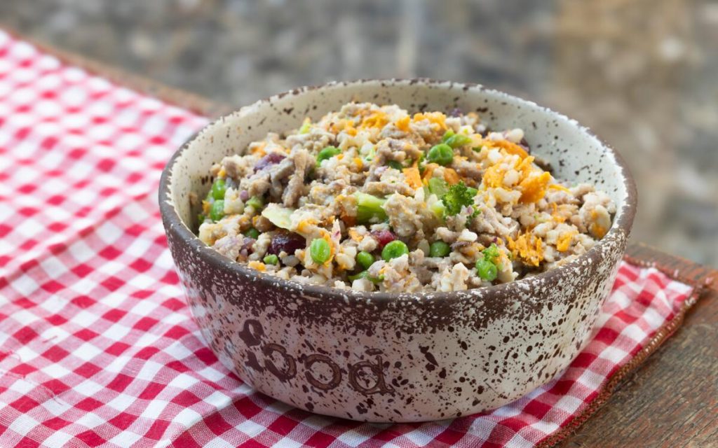 What is the Best Homemade Dog Food Recipe