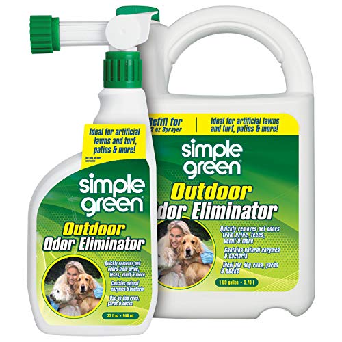 What is the Best Homemade Dog Urine Neutralizer for Outside