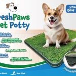 What is the Best Indoor Dog Potty System